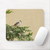Tapis De Souris Moineau (Avec souris)