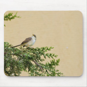 Tapis De Souris Moineau