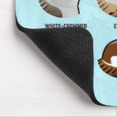 Tapis De Souris Moineaux (Coin)