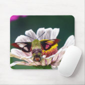 Tapis De Souris Mois des colibris (Avec souris)