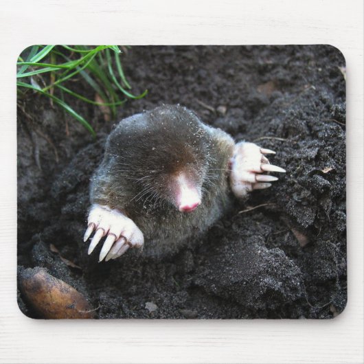 Tapis De Souris Mole (Devant)