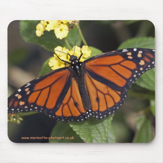 Tapis de souris Monarch (Devant)