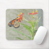 Tapis De Souris Monarch Butterfly et Caterpillar (Avec souris)