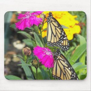 Tapis De Souris Monarch Twins #2-mousepad