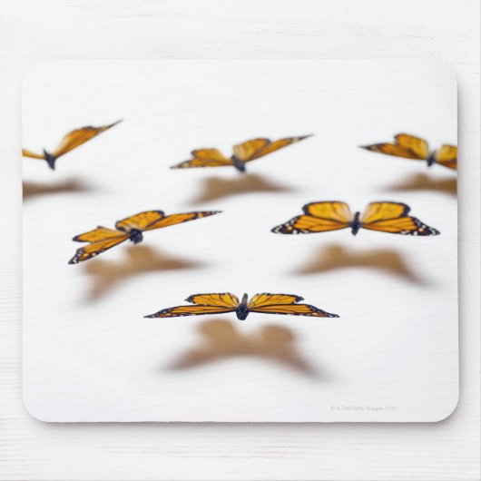 Tapis De Souris Monarque Butterflies (Devant)