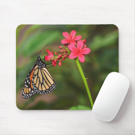 Tapis De Souris Monarque sur les fleurs de Penta (Avec souris)
