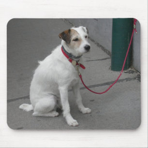 Tapis De Souris Mongrel blanc doux