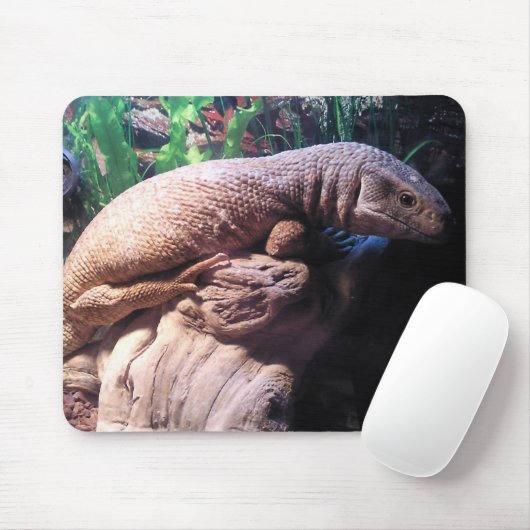 Tapis De Souris Moniteur de la savane (Avec souris)