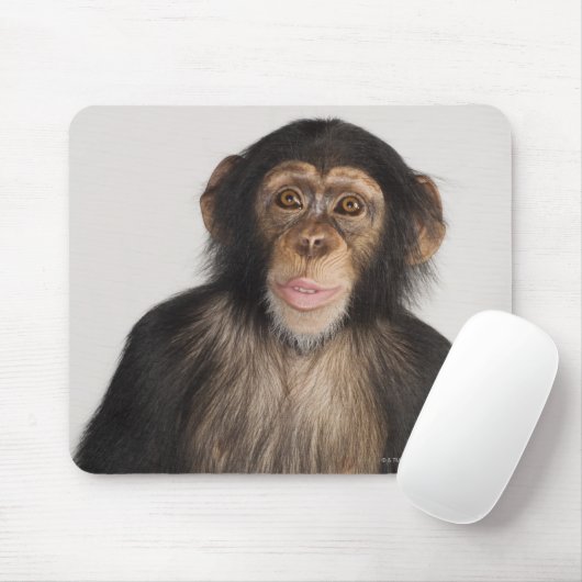 Tapis De Souris Monkey (Avec souris)