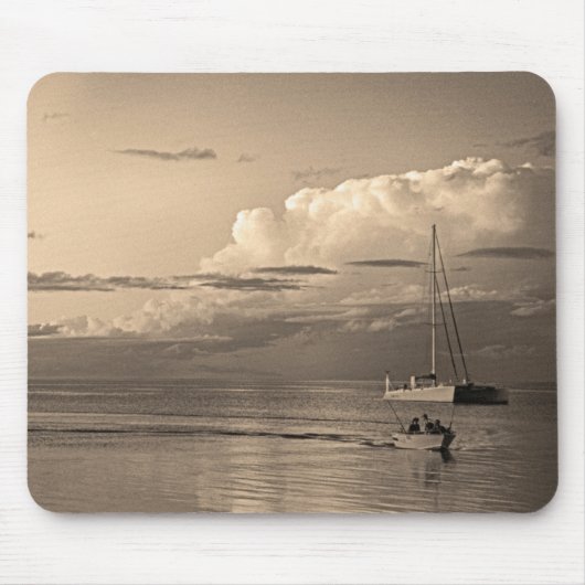 Tapis De Souris Monkey Mia (Devant)