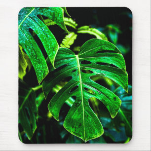 Tapis De Souris Monstera Tropicale Glow – Photographie de Feuille