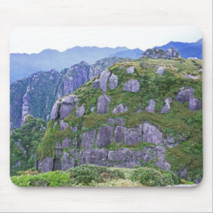 Tapis De Souris Mont Nagata, Yakushima, Kagoshima, Japon