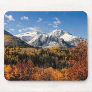 Tapis De Souris Mont Timpanogos dans les monts Utah d'automne