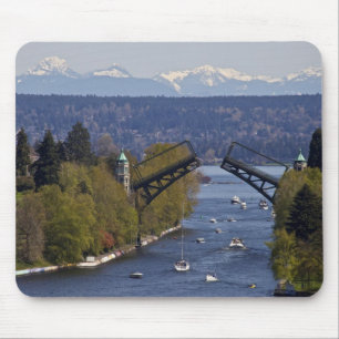 Tapis De Souris Montagnes de pont et de cascade de Montlake
