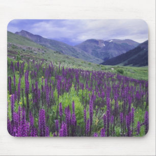 Tapis De Souris Montagnes et fleurs sauvages dans un pré alpin, 2