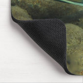 Tapis De Souris Montezumae de Xiphophorus - Montezumae Swordtail (Coin)