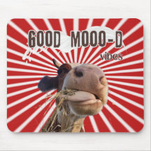 Moo-ve Through Work : Good Moo-d Vibes