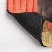 Tapis De Souris Mooooo (Coin)