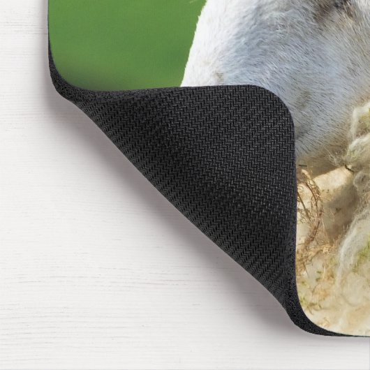 TAPIS DE SOURIS MOQUETTE (Coin)