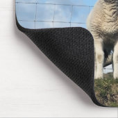TAPIS DE SOURIS MOQUETTE (Coin)