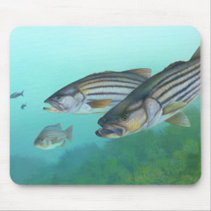 Tapis De Souris Morone atlantique Saxatilis de poissons de bar