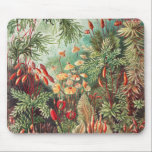 Tapis De Souris Mosses, Muscinae Laubmoose par Ernst Haeckel<br><div class="desc">Muscinae Laubmoose par Ernst Haeckel Souris Vintage Plante</div>