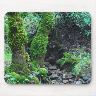 Tapis De Souris Mossy Trees
