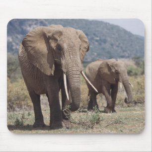 Tapis De Souris Mother éléphant walking with elephant calf