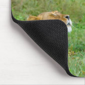 Tapis De Souris Mother's Love Lioness & Baby Mousepad (Coin)