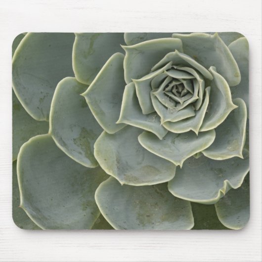 Tapis De Souris Motif de cactus (Devant)