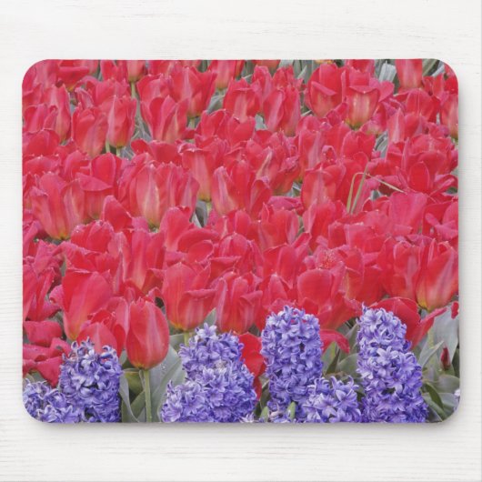 Tapis De Souris Motif de hyacinthe, de tulipes et de daffodils, (Devant)