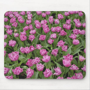 Tapis De Souris motif de jardin de tulipes, Jardins de Keukenhof,
