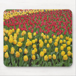 Tapis De Souris Motif de jardin de tulipes, jardins de Keukenhof, 