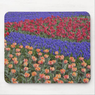 Tapis De Souris Motif de tulipes et de fleurs de raisin Hyacinth, 
