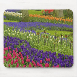 Tapis De Souris Motif de tulipes jacinthe et muscari
