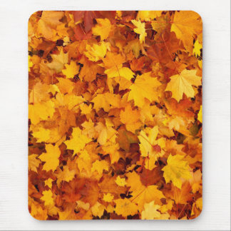 Tapis De Souris Motif feuille d'érable-25877