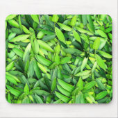 Tapis De Souris Motif Feuille verdoyant - Nature Botanique (Devant)