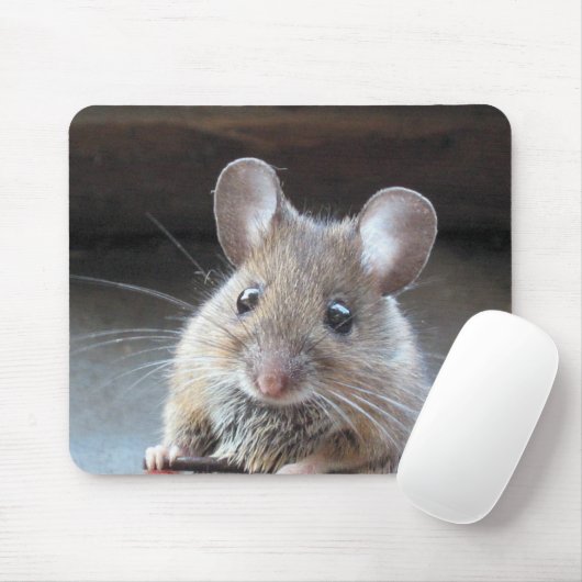 Tapis De Souris Moue mousepad (Avec souris)