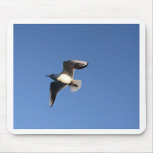 Tapis De Souris Mouette pygmée