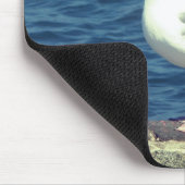 Tapis De Souris Mouette Sur La Baie (Coin)
