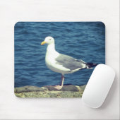 Tapis De Souris Mouette Sur La Baie (Avec souris)