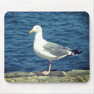 Tapis De Souris Mouette Sur La Baie