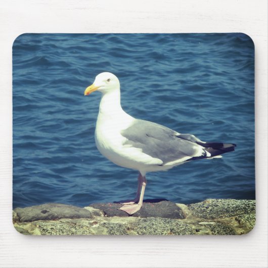 Tapis De Souris Mouette Sur La Baie (Devant)