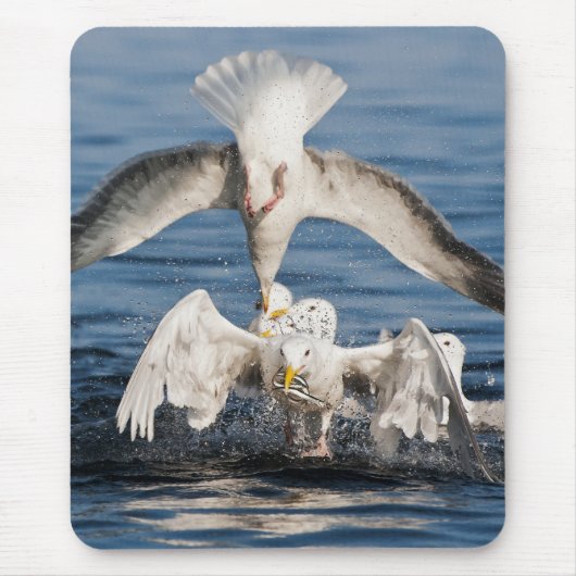 Tapis De Souris Mouettes de plongée (Devant)