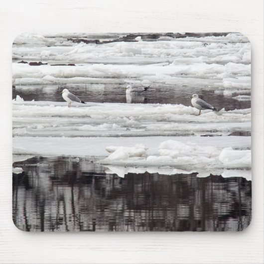 Tapis De Souris Mouettes sur la glace (Devant)