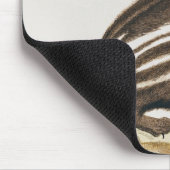Tapis De Souris Mouffette, de "Histoire Naturelle" par (Coin)