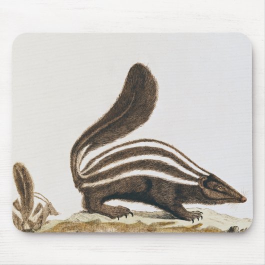 Tapis De Souris Mouffette, de "Histoire Naturelle" par (Devant)