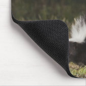 Tapis De Souris Mouffette rayée, Mephitis mephitis (Coin)