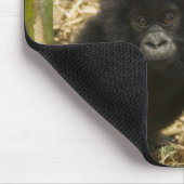 Tapis De Souris Mountain Gorilla, adult with young (Coin)