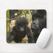 Tapis De Souris Mountain Gorilla, adult with young (Avec souris)